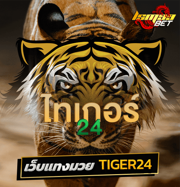 TIGER24 เว็บแทงมวย บริการครบทั้ง บอล คาสิโน สล็อต หวย เล่นง่ายบนมือถือ 2 Tiger24