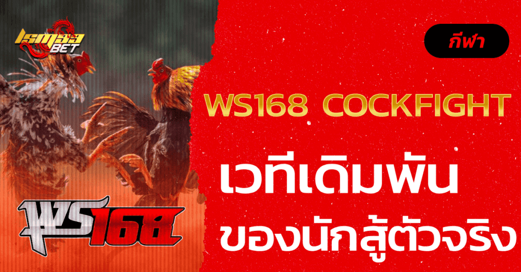 WS168 Cockfight