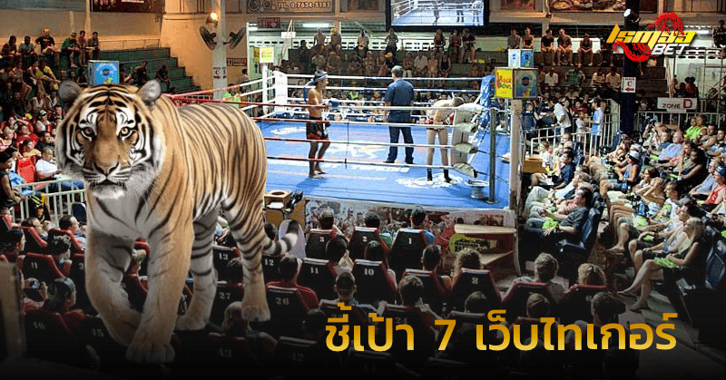 ชี้เป้า 7 เว็บไทเกอร์