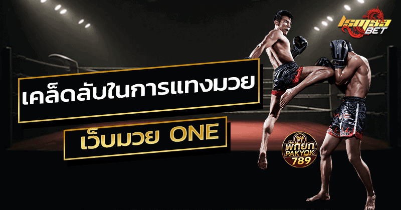 เว็บมวย ONE