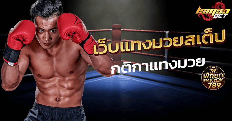 เว็บแทงมวยสเต็ป