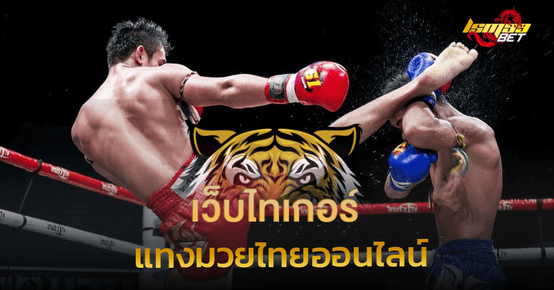 แทงมวยไทยออนไลน์ เว็บไทเกอร์